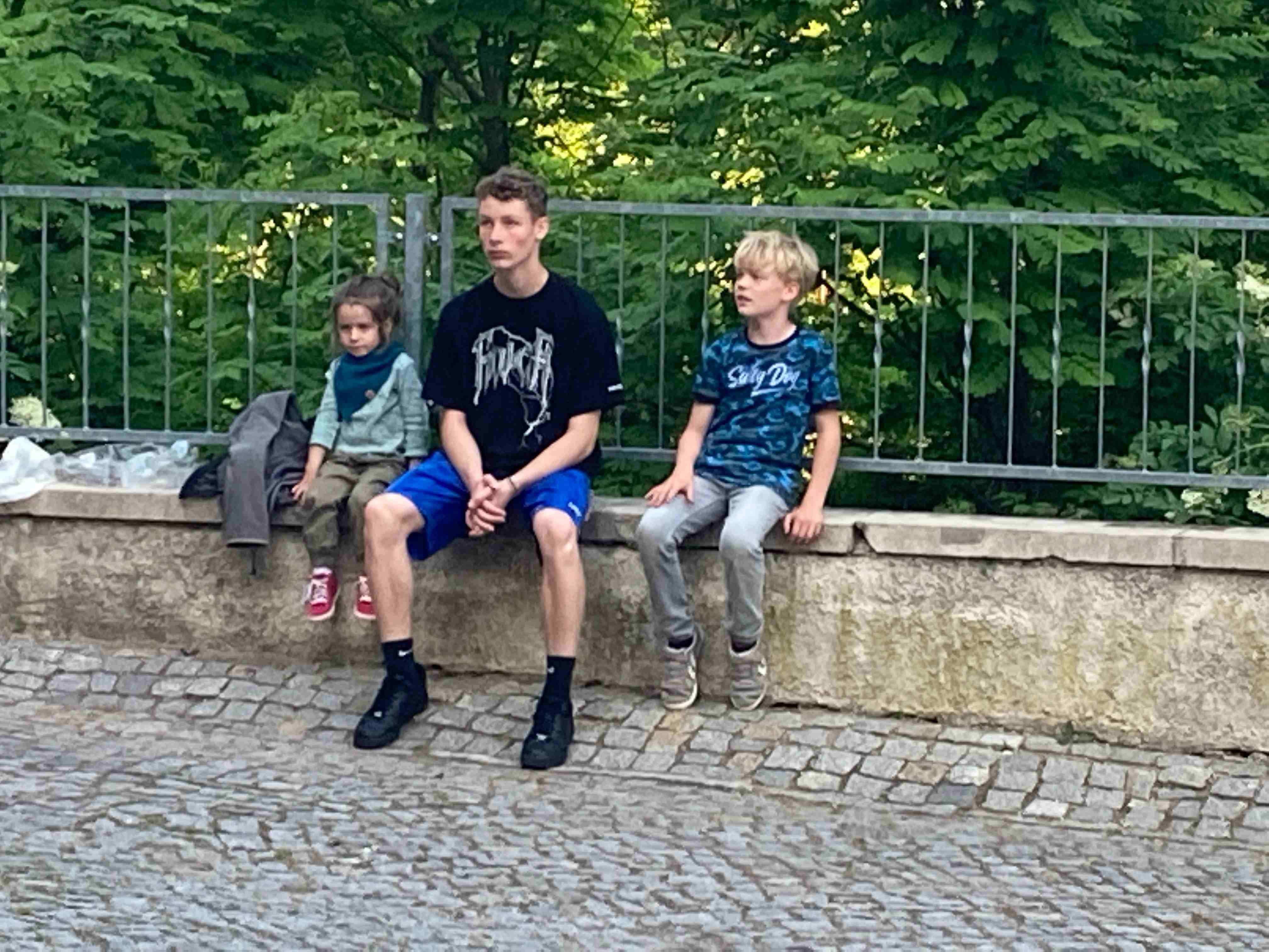 Ein Bild, das Boden, Baum, drauen enthlt.

Automatisch generierte Beschreibung